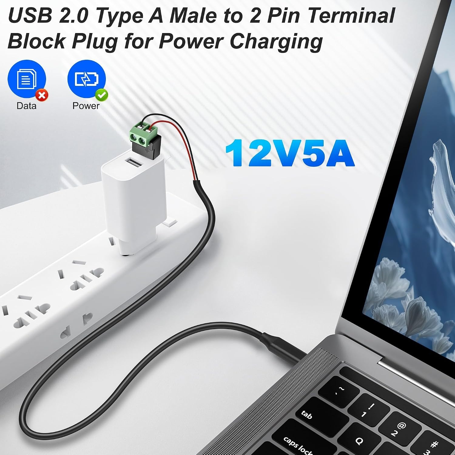 Adaptador de corriente de 12 V - Screw Terminal Block reseña y precio